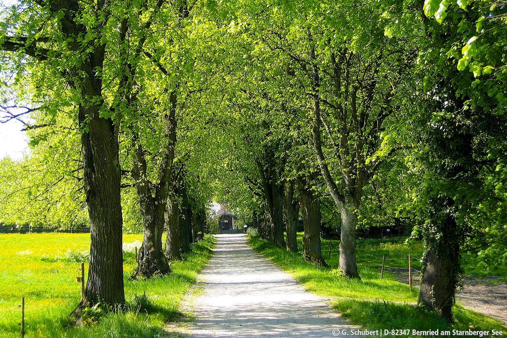 Landgasthof Drei Rosen Bernried am Starnberger See Exterior foto